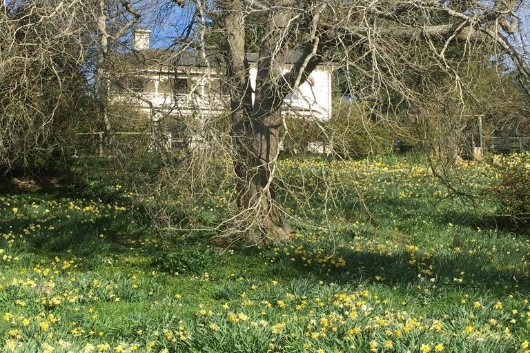Photo of property in Belvoir House, 169 Mcnamaras Road, Waimate, 7979