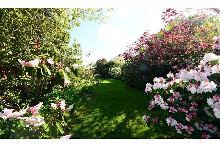 Photo of property in 36 Frederick Street, Makikihi, Timaru, 7971