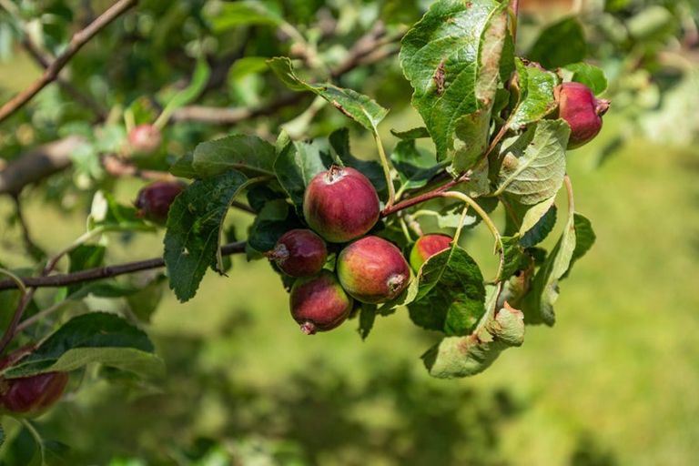 Photo of property in 58 Loach Road, Hawea Flat, Wanaka, 9382
