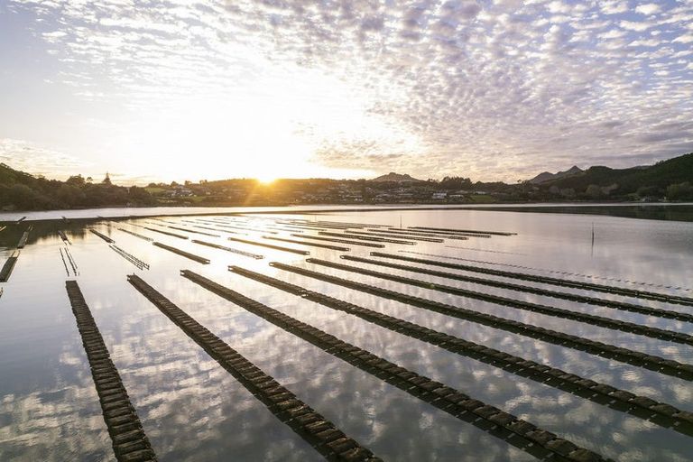 Photo of property in 50 Kiteone Road, Parua Bay, Whangarei, 0174