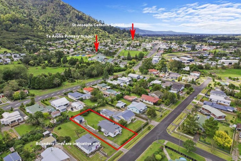 Photo of property in 14 Farmer Street, Te Aroha, 3320