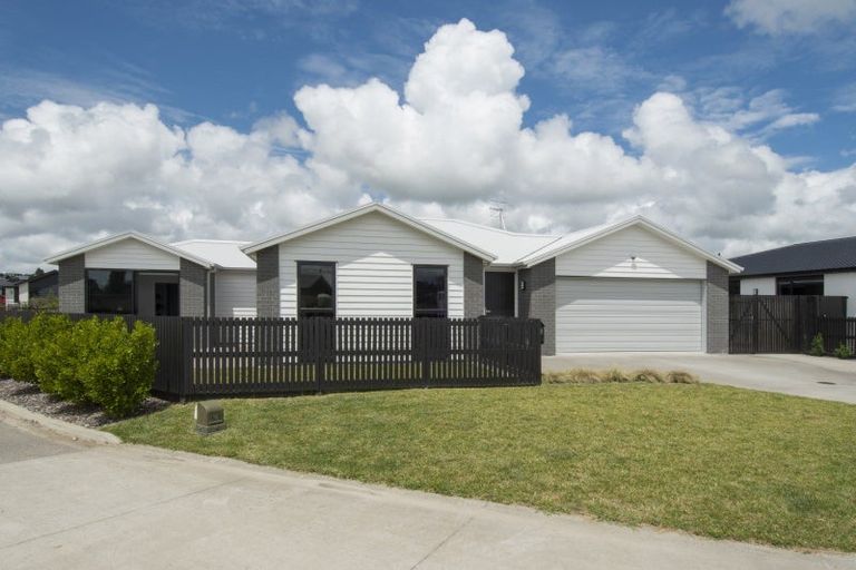 Photo of property in 42 Hinaki Street, Poike, Tauranga, 3112