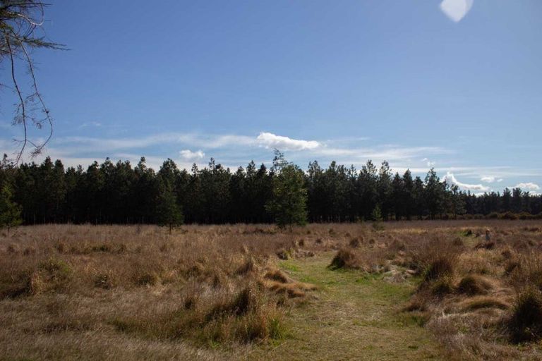Photo of property in 37 Pesters Road, Eyrewell, Rangiora, 7476