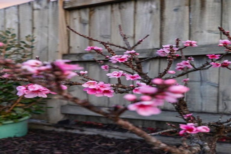 Photo of property in 144 Carmichael Road, Bethlehem, Tauranga, 3110