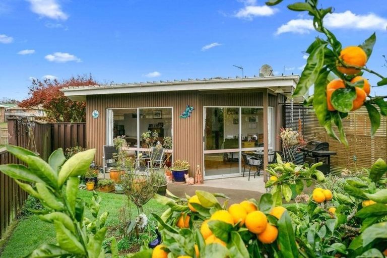 Photo of property in 302 Elizabeth Avenue, Te Awamutu, 3800