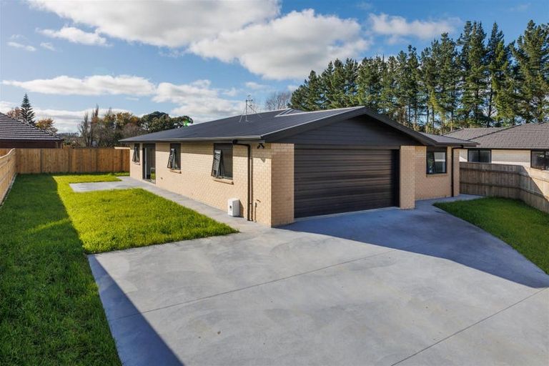 Photo of property in 53 Hereford Street, Marton, 4710