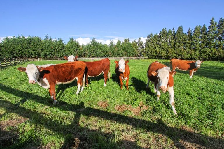 Photo of property in 205 Clarks Beach Road, Clarks Beach, Pukekohe, 2679