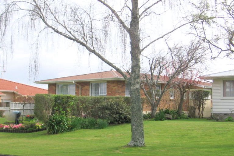 Photo of property in 20 Ngahere Street, Otumoetai, Tauranga, 3110
