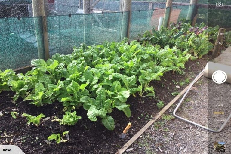 Photo of property in 2253 State Highway 16, Helensville, 0875