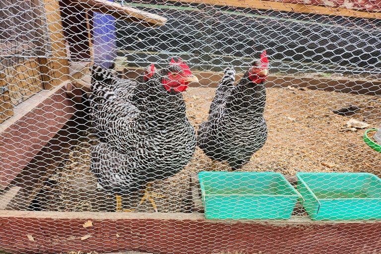 Photo of property in 20 Waimarei Avenue, Paeroa, 3600