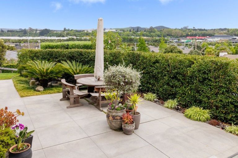 Photo of property in 16 Rexford Heights, Pyes Pa, Tauranga, 3112