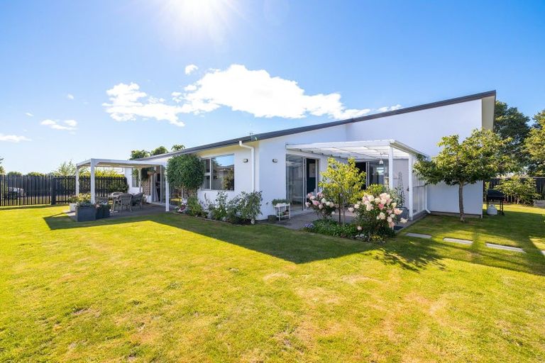 Photo of property in 20 Whatman Avenue, Masterton, 5810