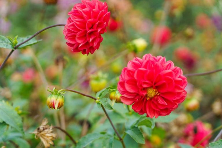 Photo of property in 288 Oropi Gorge Road, Oropi, Tauranga, 3173