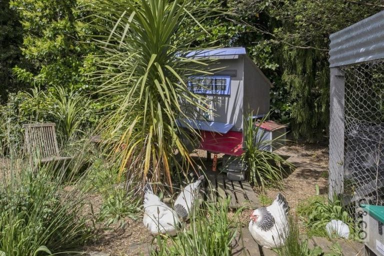 Photo of property in 31 Rosella Grove, Waimauku, 0812