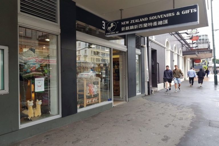 Photo of property in Bellagio Apartments, 39 Taranaki Street, Te Aro, Wellington, 6011