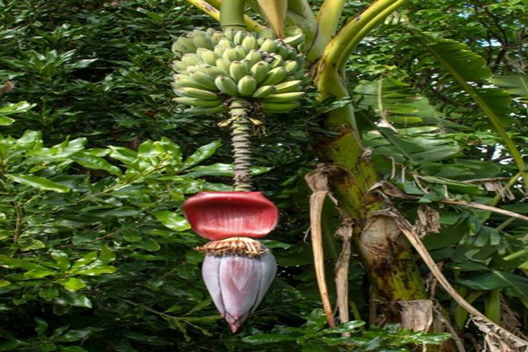 Photo of property in 27 Waikite Road, Welcome Bay, Tauranga, 3112