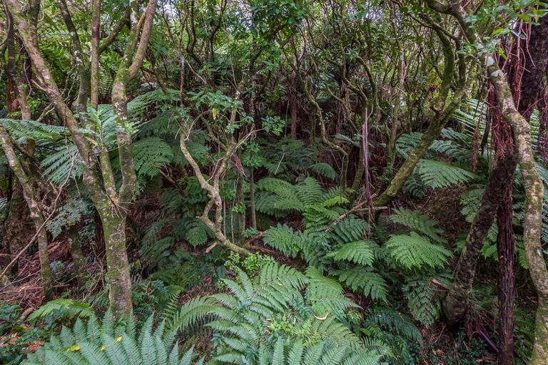 Photo of property in 41 Gardiner Grove, Wainuiomata, Lower Hutt, 5014