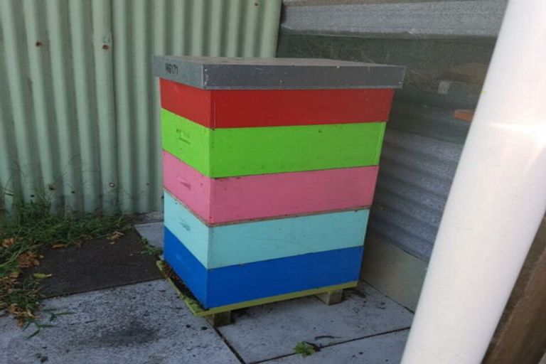 Photo of property in 50b Budleigh Street, Frankleigh Park, New Plymouth, 4310