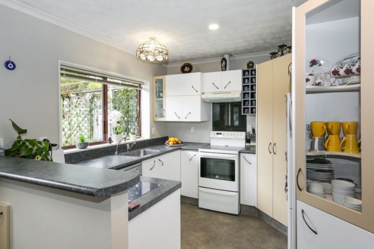 Photo of property in 19 Bucksburn Place, Greenmeadows, Napier, 4112