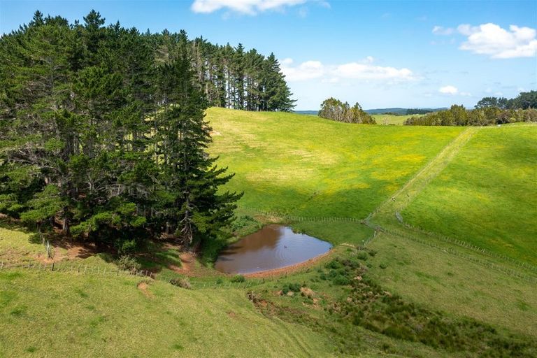 Photo of property in 507 Horseshoe Bush Road, Dairy Flat, Albany, 0794