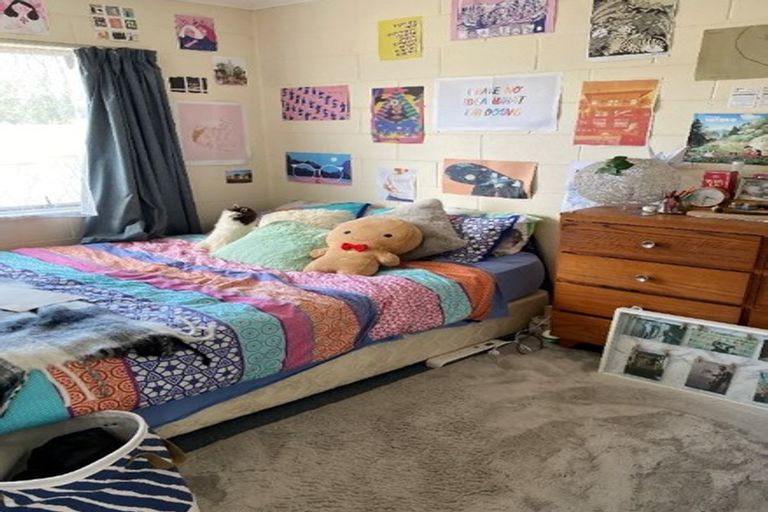 Photo of property in 45 York Street, Hamilton East, Hamilton, 3216