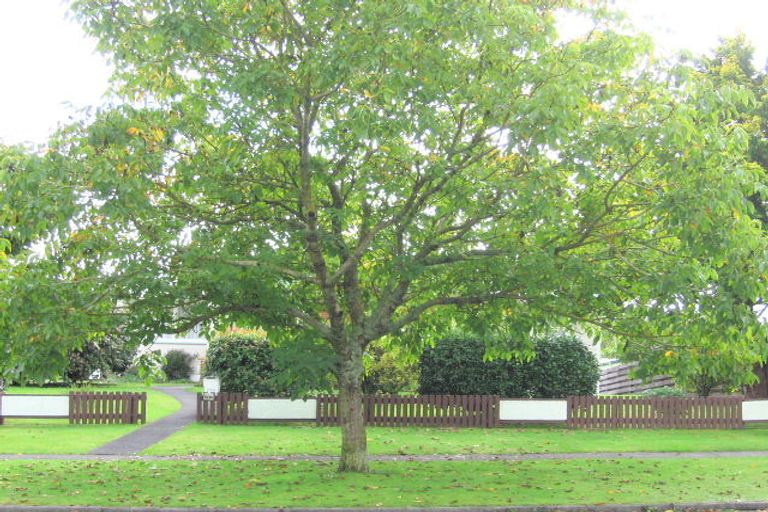 Photo of property in 226 West Parkdale Street, Tokoroa, 3420