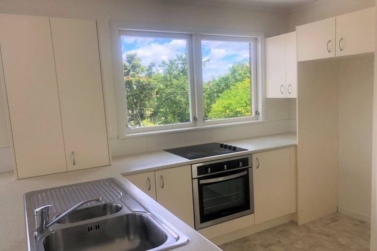 Photo of property in 17 Vista Terrace, Hillcrest, Hamilton, 3216