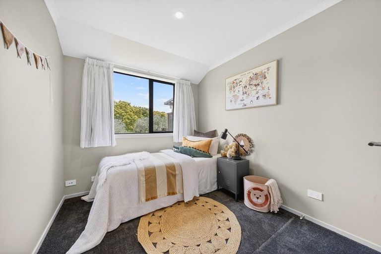 Photo of property in 3 Redwood Lane, Martinborough, 5711