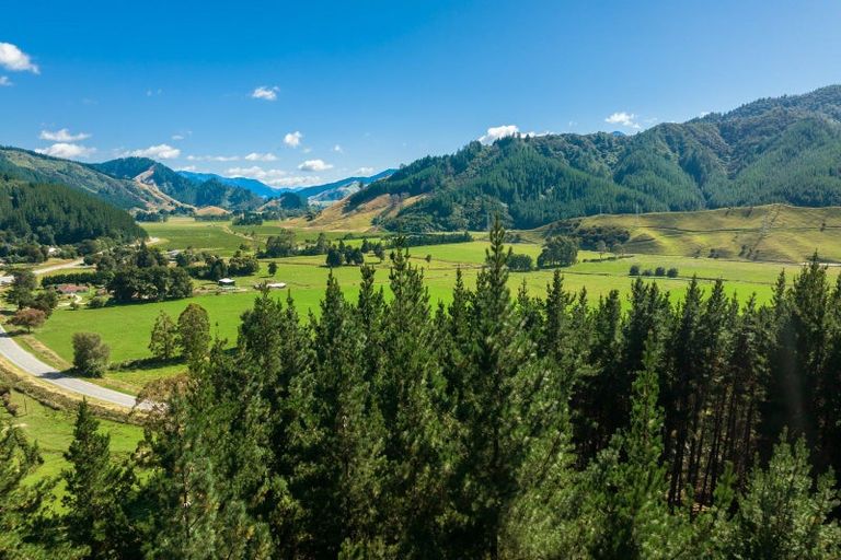 Photo of property in 2135 State Highway 6, Okaramio, Havelock, 7178