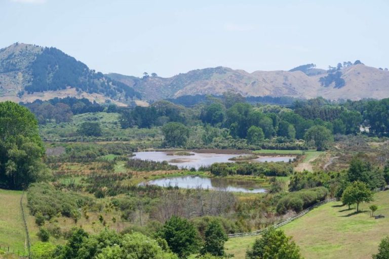 Photo of property in 93 Koutunui Road, Athenree, Katikati, 3177