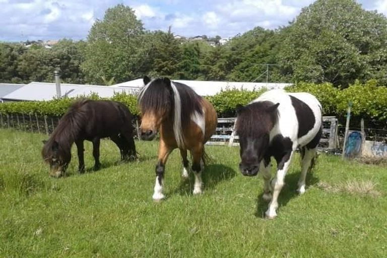 Photo of property in 30 Muncaster Road, Snells Beach, 0920