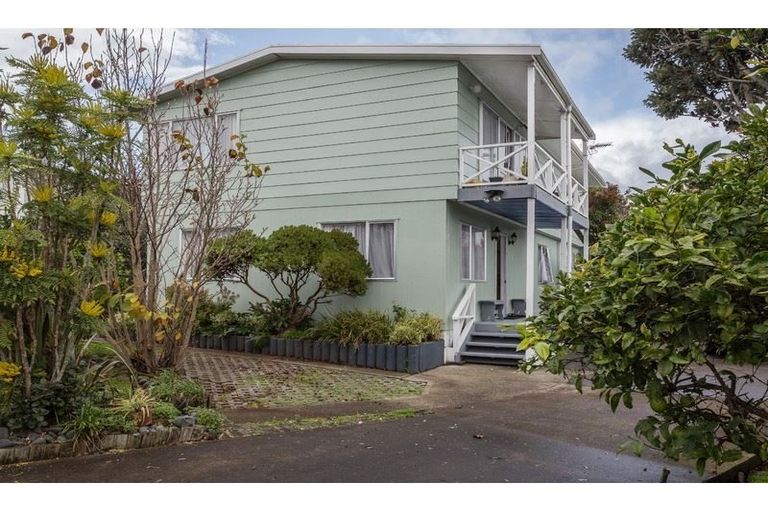 Photo of property in 48 Hinerau Street, Henderson, Auckland, 0612