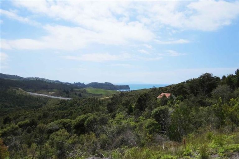 Photo of property in 229 Hillcrest Road, Wainui, 0931