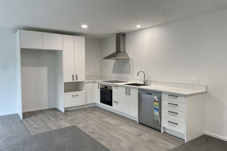 Photo of property in 2/155 Rimu Street, Maeroa, Hamilton, 3200