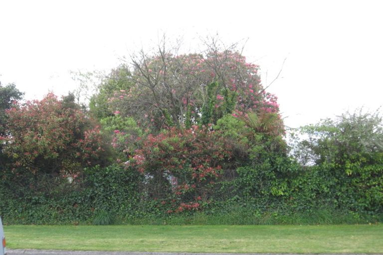 Photo of property in 1/40 Laughton Street, Taupo, 3330