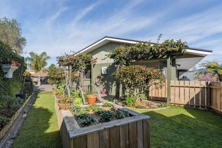 Photo of property in 35 Boucher Avenue, Te Puke, 3119