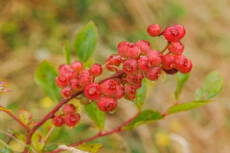 Photo of property in 790 Pungaere Road, Waipapa, 0295