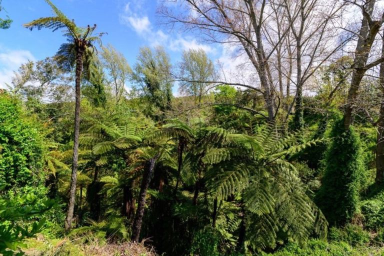 Photo of property in 406 Sunset Road, Sunnybrook, Rotorua, 3015