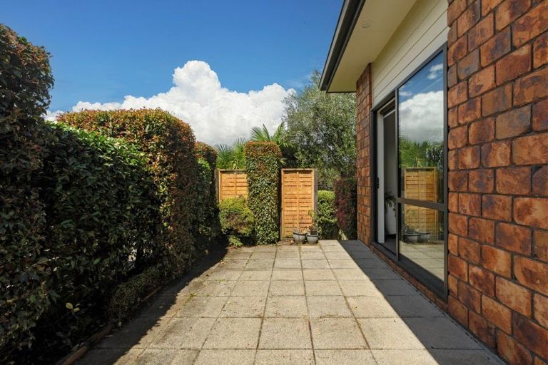 Photo of property in 5 Arthur Grove, Bethlehem, Tauranga, 3110