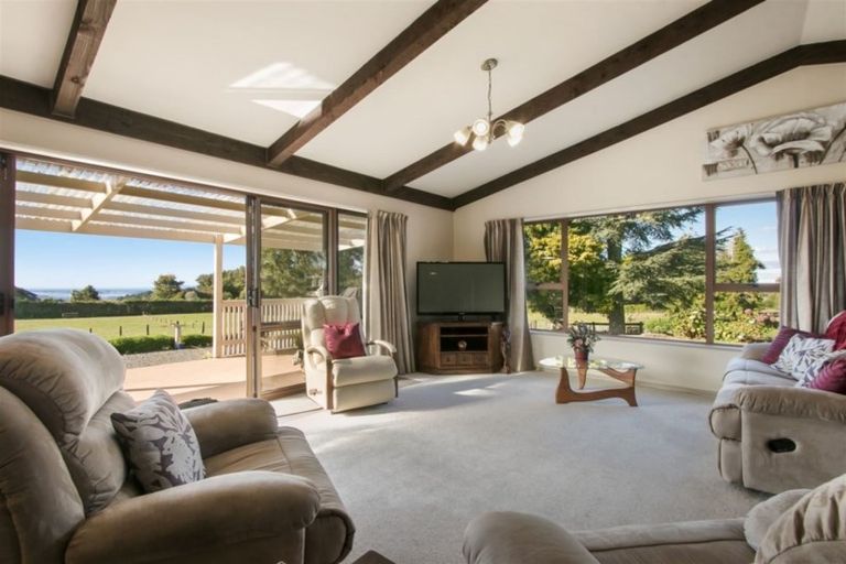Photo of property in 472 Whakamarama Road, Whakamarama, Tauranga, 3179