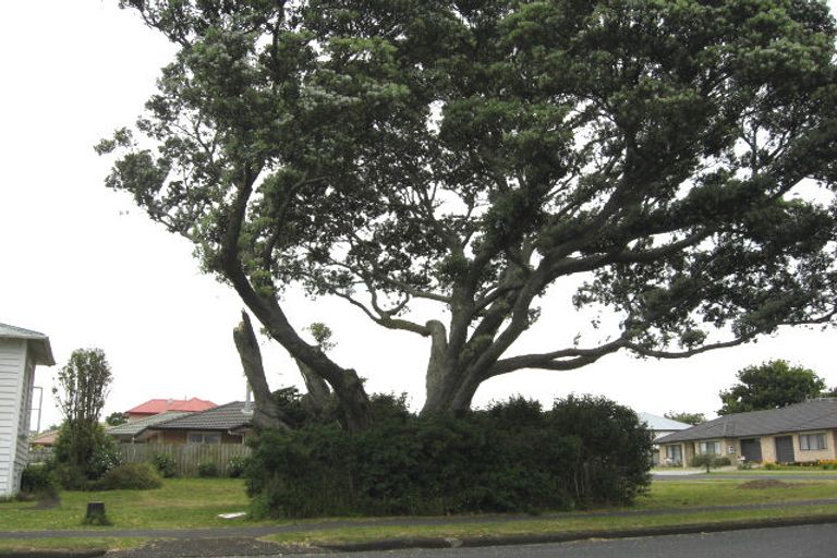 Photo of property in 14 Albert Street, Pukekohe, 2120