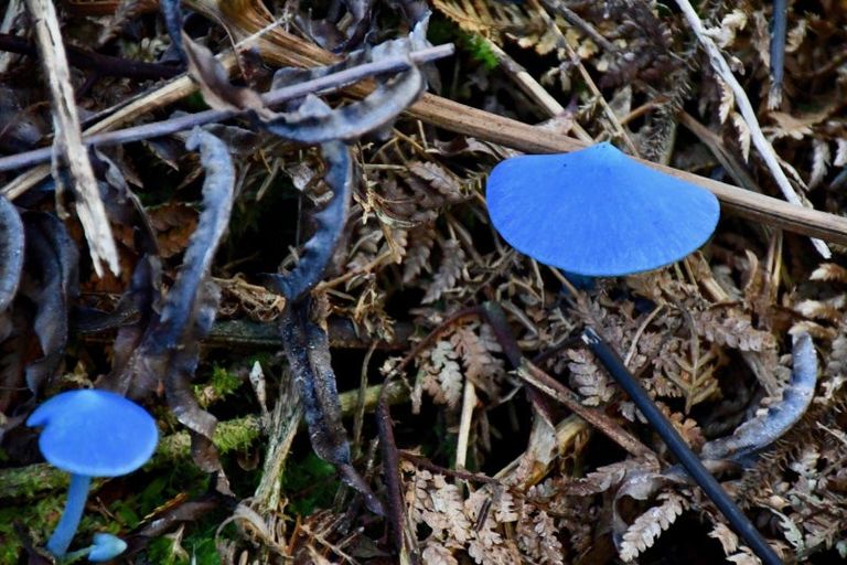 Photo of property in 64 Eco Place, Little Wanganui, Karamea, 7893