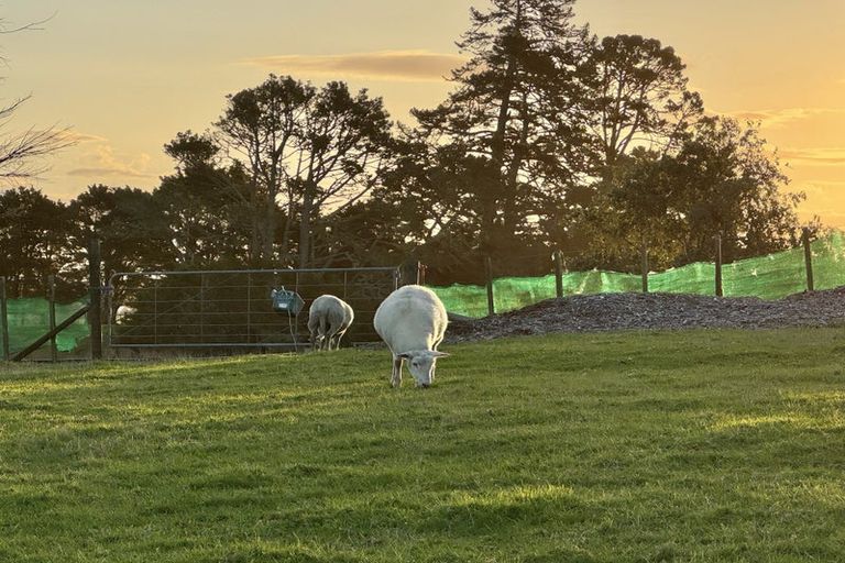 Photo of property in 1195a Pipiwai Road, Ruatangata West, Whangarei, 0176