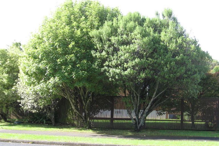 Photo of property in 22 Mirrabooka Avenue, Botany Downs, Auckland, 2010