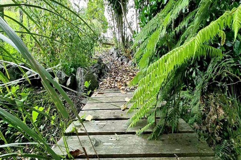 Photo of property in 26a Matheson Road, Wellsford, 0900