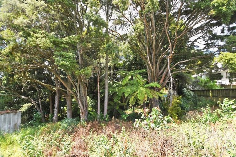 Photo of property in 51 Hill Street, Warkworth, 0910