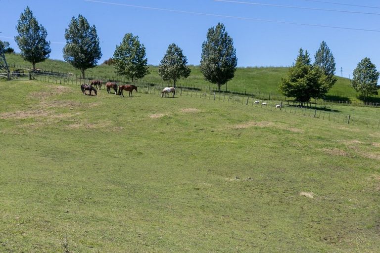 Photo of property in 144 Springfield Road, Taradale, Napier, 4183