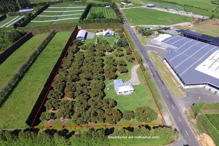 Photo of property in 7 Sedgemoor Lane, Tahawai, Katikati, 3178