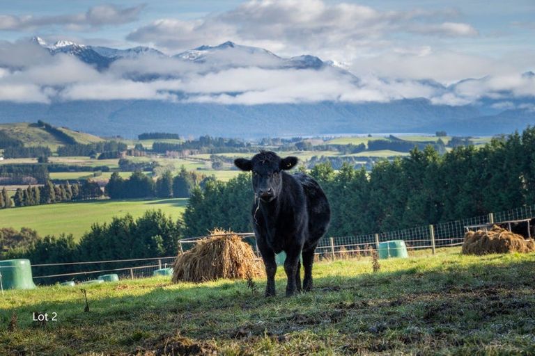 Photo of property in 112 Ridgedale Road, 9672