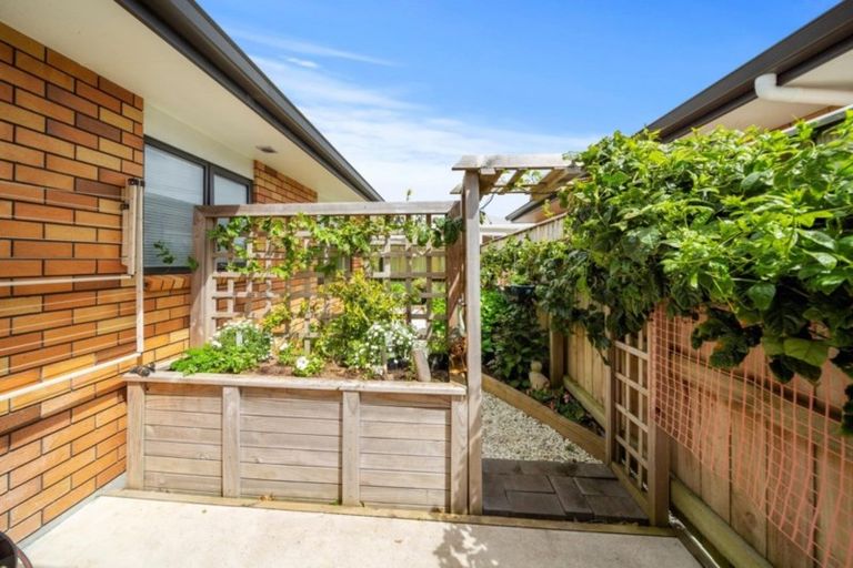 Photo of property in 2/241 Omata Road, Spotswood, New Plymouth, 4310